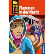 Die drei !!!, 63, Flammen in der Nacht