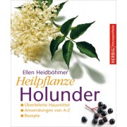 Heilpflanze Holunder