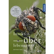 Insekten überlebensgroß