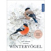 Wintervögel